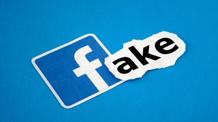 Facebook décide de faire la chasse aux fausses informations. (MAXPPP)