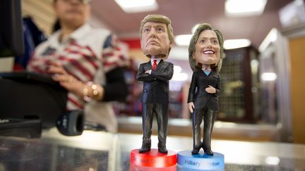 Des figurines représentant Donald Trump et Hillary Clinton dans un magasin de Washington D.C. (Etats-Unis), le 1er mars 2016. (KAY NIETFELD / DPA / AFP)