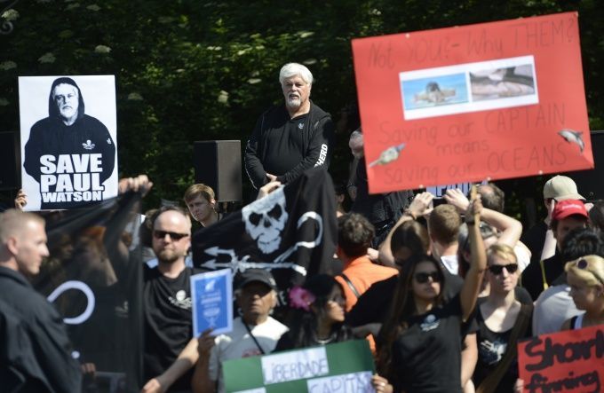 Manifestation de soutien à Paul Watson à Berlin le 23 mai 2012
 (Odd Andersen/AFP)