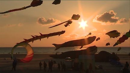 Cers-Volants de nuit à Berck-sur-Mer (P. Mahieu / France Télévisons)