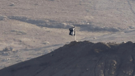  (Le drapeau de Daech qui flotte près de la ville syrienne de Kobané © REUTERS/ Umit Bektas)