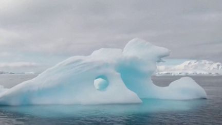 Réchauffement climatique : un iceberg à la dérive