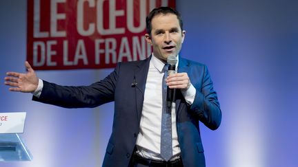 Benoît Hamon en Martinique, le 12 mars 2017 (LIONEL CHAMOISEAU / AFP)