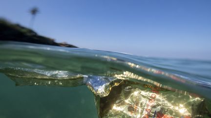 Un sac plastique flotte dans les eaux de l'océan Indien. (OLIVIER MORIN / AFP)