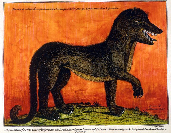 Image tirée de "Le loup, une histoire culturelle", anonyme, 1766
 (Seuil)