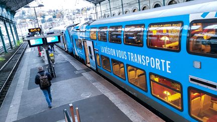 Un TER de la région Auvergne-Rhône-Alpes à Lyon, le 29 novembre 2022. (NICOLAS GUYONNET / HANS LUCAS / AFP)