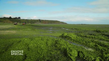 Sur cette plage bretonne, 600 tonnes d'algues vertes ramassées en une journée (ENVOYÉ SPÉCIAL  / FRANCE 2)