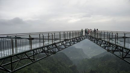 Une passerelle, située&nbsp;dans le parc ordovicien de Wansheng (Chine), est entrée&nbsp;dans le "Livre Guinness des records" au titre de plus longue passerelle du monde. (FRED DUFOUR / AFP)