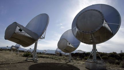 Des antennes radio du Allen Telescope Array,&nbsp;un projet de l'institut SETI qui vise &agrave; d&eacute;tecter des signaux extraterrestres, &agrave; Hat Creek&nbsp;(Californie, Etats-Unis), le 9 octobre 2007. (BEN MARGOT / AP / SIPA)