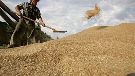 Un agriculteur usse en train d'entreposer du blé à Vasyurinskoe (AFP - MIKHAIL MORDASOV)