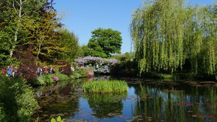 Le jardin d'eau et le célèbre pont japonais ourlé par deux glycines. (ISABELLE MORAND / RADIO FRANCE / FRANCE INFO)