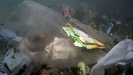 Pollution : 288 millions de tonnes de déchets flotteraient en mer