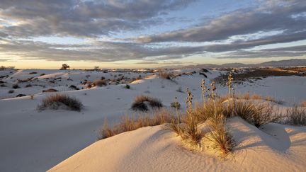 Le d&eacute;sert de&nbsp;White Sands National Monument, aux Etats-Unis, dans l'Etat du Nouveau-Mexique, photographi&eacute; en 2012. (JAMES HAGER / ROBERT HARDING / AFP)