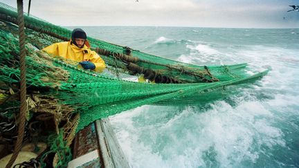 Salon de l'agriculture : quel avenir pour la pêche bretonne après le Brexit ?