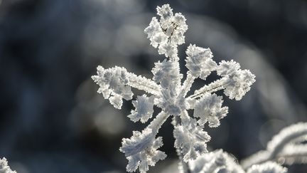 Météo : le froid fait son retour sur le pays