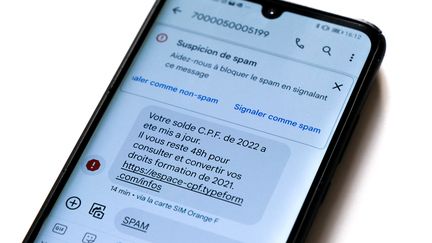 Un SMS malveillant. (NICOLAS GUYONNET / AFP)