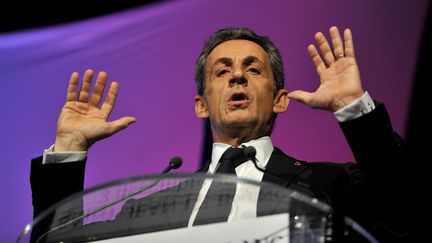 Nicolas Sarkozy lors d'un meeting des Républicains le 2 décembre 2015 à Saint-Jean-Le-Blanc (Loiret).&nbsp; (GUILLAUME SOUVANT / AFP)