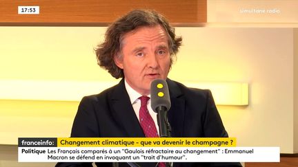 Le président du champagne Taittinger,&nbsp;Pierre-Emmanuel Taittinger. (FRANCEINFO / RADIOFRANCE)