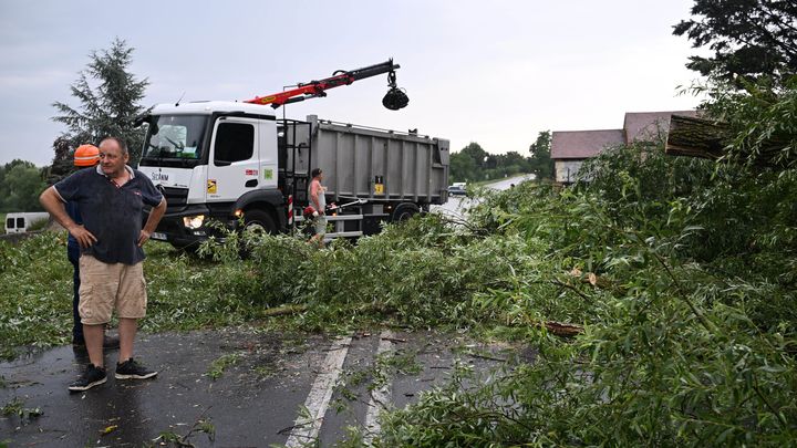 Un arbre couché sur une route entre Creuzier-le-Vieux et Vichy (Allier), le 11 juillet 2023. (FRAN?OIS-XAVIER GUTTON / MAXPPP)