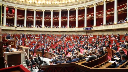 Une séance de questions au gouvernement à l'Assemblée nationale française à Paris le 14 janvier 2020. (LUDOVIC MARIN / AFP)