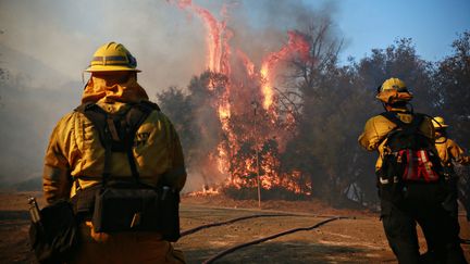 Des pompiers combattent un incendie à Malibu, en Californie (Etats-Unis), le 10 novembre 2018. (GETTY IMAGES NORTH AMERICA / AFP)