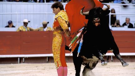 Une corrida dans les ar&egrave;nes d'Arles (Bouches-du-Rh&ocirc;ne), en 2011. (DAN SHANNON / AFP)