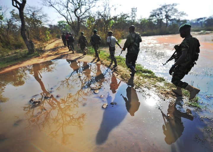 Les patrouilles de rangers ont été renforcées dans le parc de la Garamba. La surveillance aérienne aussi, dans le but d'endiguer les incursions de braconniers. (Photo AFP/Tony Karumba)