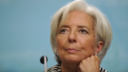 La directrice du FMI, Christine Lagarde, le 14 janvier 2013 &agrave; Washington.&nbsp; ( MAXPPP)