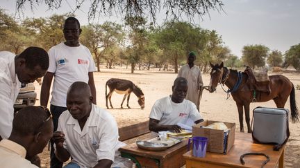 Campagne de vaccination dans la région des hauts plateaux du Ouaddaï, à l'est du Tchad, à la frontière Ouest du Soudan, le 25 mars 2019. (AMAURY HAUCHARD / AFP)