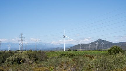 oliennes en mer : la France en retard par rapport aux autres pays européens