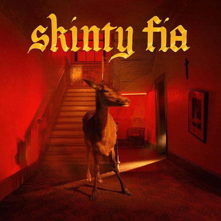 La pochette de l'album du groupe Fontaines D.C. "Skinty Fia". Un titre qui fait référence à une vieille expression irlandaise qui signifie "la damnation du cerf". (PARTISAN RECORDS)