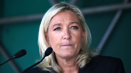 Marine Le Pen, pr&eacute;sidente du FN, lors d'un meeting &agrave; Brachay (Haute-Marne), le 30 ao&ucirc;t 2014. (FRANCOIS NASCIMBENI / AFP)