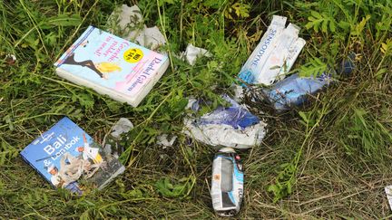 A c&ocirc;t&eacute; des d&eacute;bris de l'appareil, des objets transport&eacute;s par les passages sont retrouv&eacute;s, comme des livres ou des guides de voyage. (DOMINIQUE FAGET / AFP)