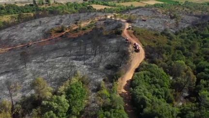 Incendie dans l’Hérault : la piste criminelle privilégiée