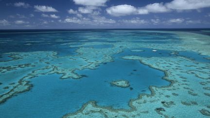 La Grande Barrière de corail, au large de l'Australie, le 7 janvier 2015. (THIERRY GRUN / ONLY WORLD / AFP)