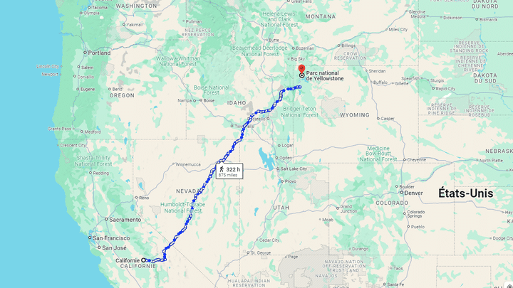 Rayne Beau's cat's journey to join her owners. (Google Maps)