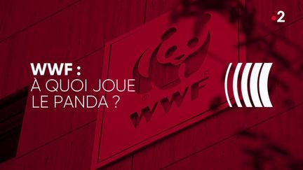 "Complément d'enquête". WWF : à quoi joue le panda ? (COMPLÉMENT D'ENQUÊTE/FRANCE 2)