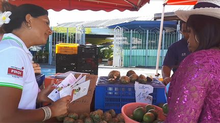 Sur le marché de Saint-Louis, les bénévoles de la Croix-Rouge font de la prévention auprès&nbsp;de la population afin de lutter contre&nbsp;l'épidémie de dengue qui touche l'île de la Réunion. (SOLENNE LE HEN / RADIO FRANCE)