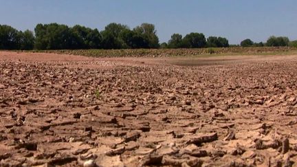 Sécheresse : la France en alerte face à un phénomène qui pourrait devenir la norme