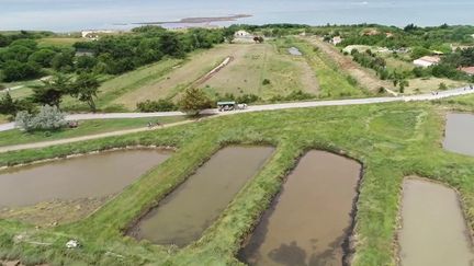 Vacances d'été : à la découverte de l'Île-d'Aix, terre d'apaisement en Charente-Maritime