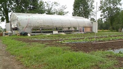 Intempéries : les cultures ont été détruites par les orages en Charente-Maritime