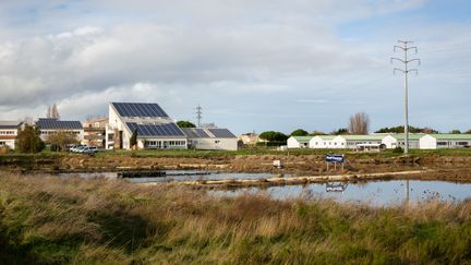 Une vue sur des panneaux solaires posés sur les toits d'une école de Bourcefranc-le-Chapus (Charente-Maritime), le 17 novembre 2023. (PAULINE PAUGET / HANS LUCAS / AFP)