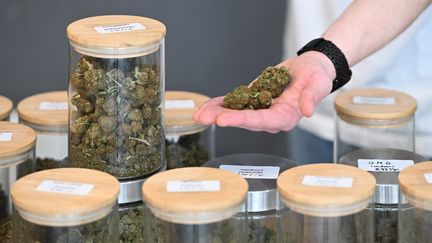 Le HHC, cette molécule de synthèse du cannabis, va être interdit à la vente. (JOSSELIN CLAIR / MAXPPP)