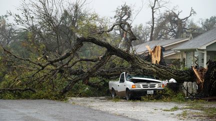 Des arbres ont été déracinés par le vent, comme ici à Rockport. (RICK WILKING / REUTERS)