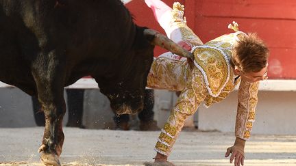 Le matador Andy Younes encorné par un taureau, dimanche 1er avril 2018 à Arles (Bouches-du-Rhône). (BORIS HORVAT / AFP)