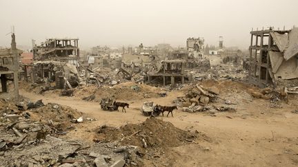 Des Palestiniens se d&eacute;placent en charettes pendant une temp&ecirc;te de sable &agrave; Gaza (Palestine), le 11 f&eacute;vrier 2015. (MOHAMMED ABED / AFP)