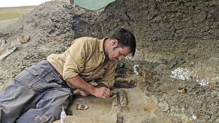 Le scientifique américain Robert DePalma&nbsp;sur le site de Tanis, dans le Dakota du Nord (Etats-Unis), le 5 août 2018. (ROBERT DEPALMA / KANSAS UNIVERSITY / AFP)