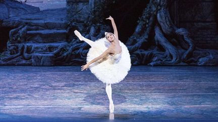 Misty Copeland a été la première noire à danser le rôle d'Odette dans "Le lac des Cygnes" au Metropolitan Opera House de New York le 24 juin 2015. Ici, elle est sur la scène du Queensland Performing Arts Centre en Australie (septembre 2014)
