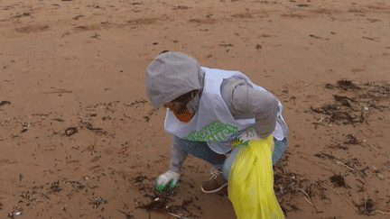 Sur les plages des Sables d'Olonne, en Vendée, des bénévoles s'attèlent à ramasser les déchets. Un travail fastidieux, en particulier lorsqu'il s'agit de récupérer les petites billes de plastique qui polluent ces zones. (franceinfo)