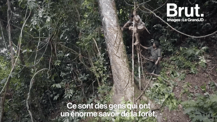 Le youtubeur suisse Le Grand JD, accompagné de Bernard Genier, journaliste de la Radio Télévision Suisse, est parti filmer les conséquences de la déforestation et de la culture de l’huile de palme à Bornéo.